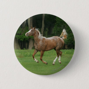 Appaloosa Horse Running Knapp