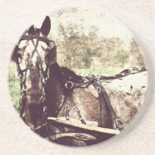 Appaloosa Horse Underlägg
