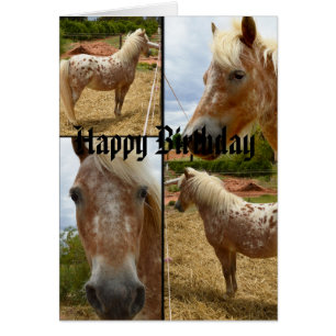 Appaloosa Horses Photo Collage Birthday Hälsningskort