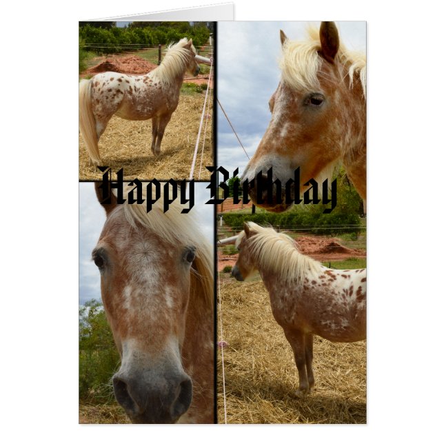 Appaloosa Horses Photo Collage Birthday Hälsningskort (Framsidan)