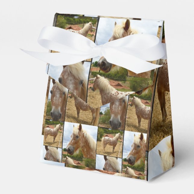 Appaloosa Horses Photo Collage, Gift Presentaskar (Framsidan Sidan)