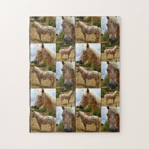 Appaloosa Horses Photo Collage Pussel