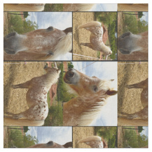 Appaloosa Horses Photo Collage Tyg
