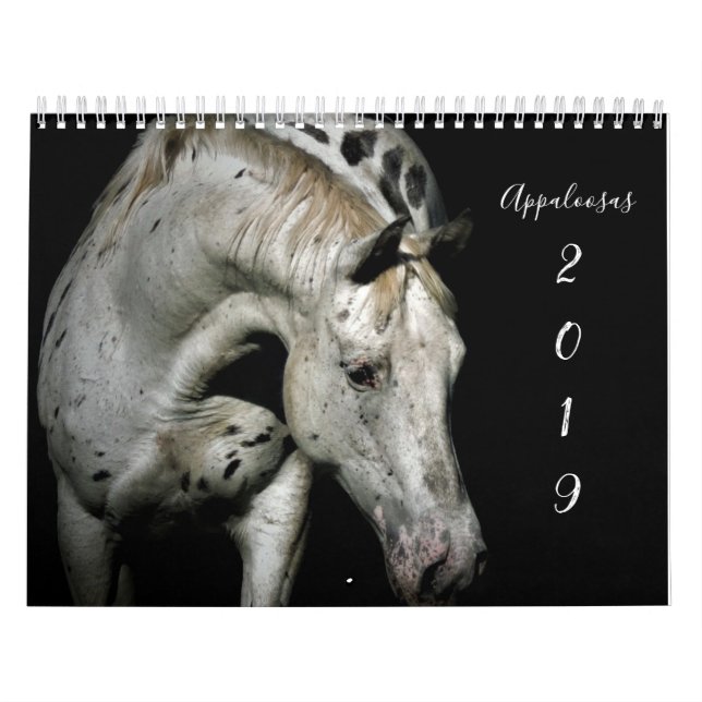 Appaloosa Kalender (Omslag)