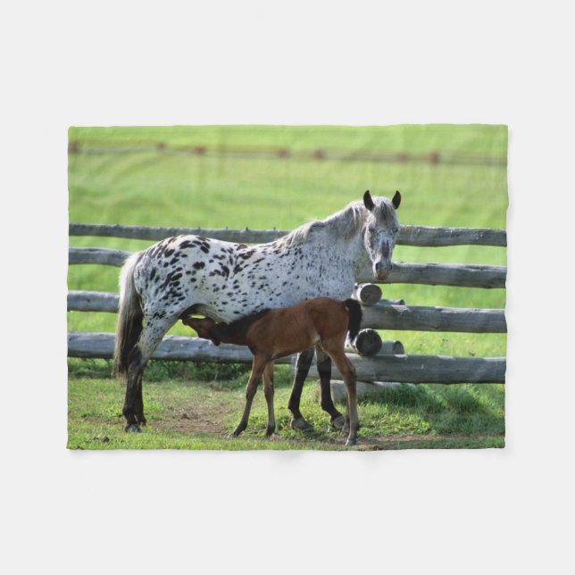 Appaloosa Mare och Colt Horse Fleecefilt (Framsidan (Horisontell))