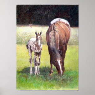 Appaloosa Mare och Foal Porträtt Poster