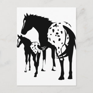 Appaloosa Mare och Foal Vykort