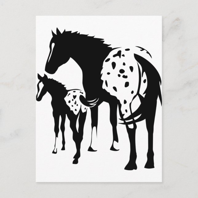 Appaloosa Mare och Foal Vykort (Framsida)