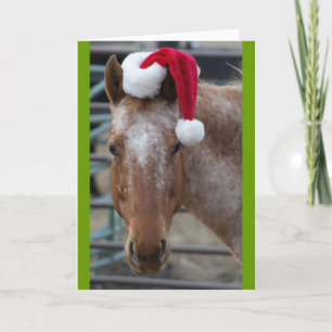 Appaloosa med den Santa hatten Helgkort