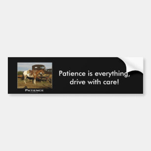 Appaloosa Motivational Gifts Bildekal