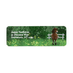 Appaloosa Painting Pony Returadress Etikett