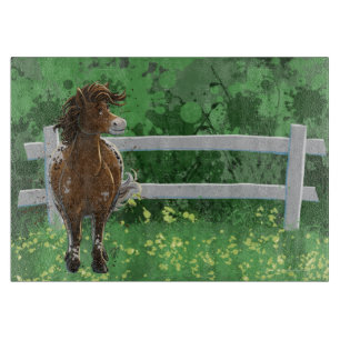 Appaloosa Pony