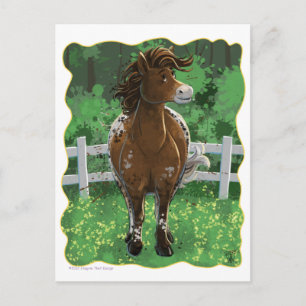 Appaloosa Pony Vykort