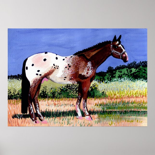 Appaloosa Porträtt Poster (Framsidan)