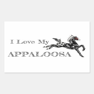 Appaloosa Rektangulärt Klistermärke