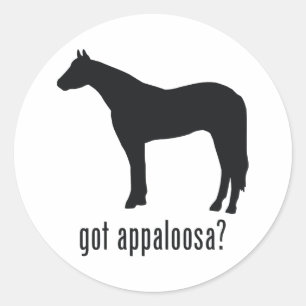 Appaloosa Runt Klistermärke