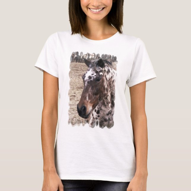Appaloosa Stallions Långärmad Dam T-Shirt (Framsida)