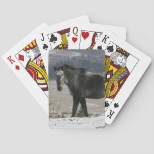 Appaloosahäst i snön spel kort