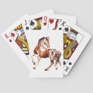 Appaloosahäst som leker kort casinokort