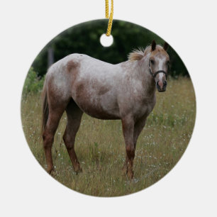 Appaloosahästanseende i gräset julgransprydnad keramik