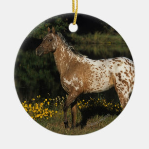 Appaloosahästanseende vid sjön julgransprydnad keramik
