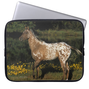 Appaloosahästanseende vid sjön laptop sleeve