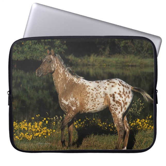 Appaloosahästanseende vid sjön laptop sleeve (Framsidan)