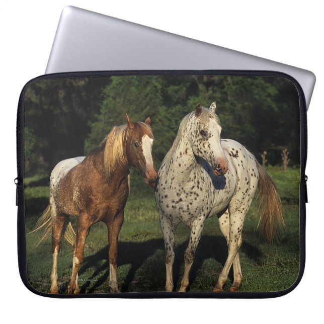 Appaloosahästar Laptop Sleeve (Framsidan)