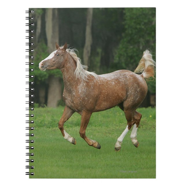 Appaloosahästspring Anteckningsbok Med Spiral (Framsidan)