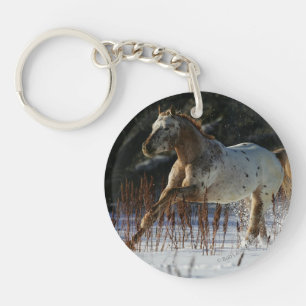 Appaloosahästspring i snön