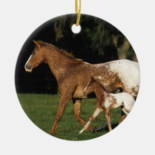 AppaloosaMare och föl Julgransprydnad Keramik