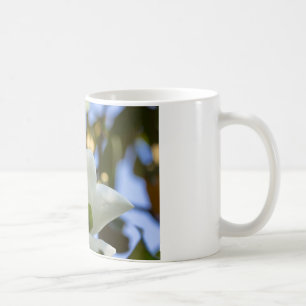 Apparat av rostat glas Himlar Södra Magnolia-gåvor Kaffemugg