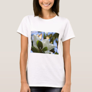 Apparat av rostat glas Himlar Södra Magnolia-gåvor T Shirt