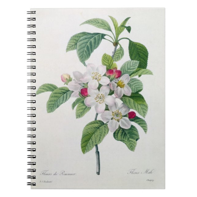 Äppelblom, från 'Les Choix des Plus Belles Anteckningsbok Med Spiral (Framsidan)