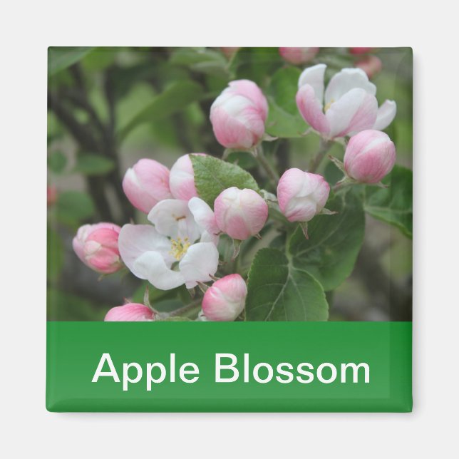 äppelblom och gröna blad magnet (Framsidan)