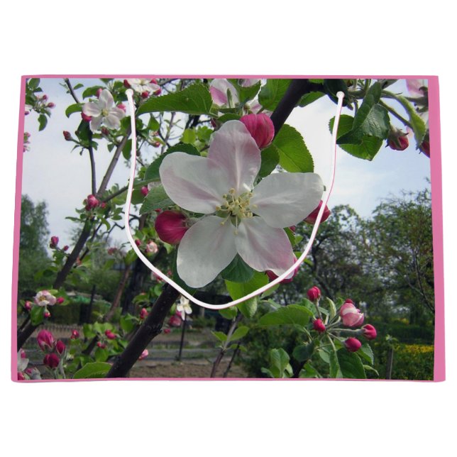 ÄppelBlommar (Framsidan)