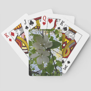 Äppelblommar Casinokort