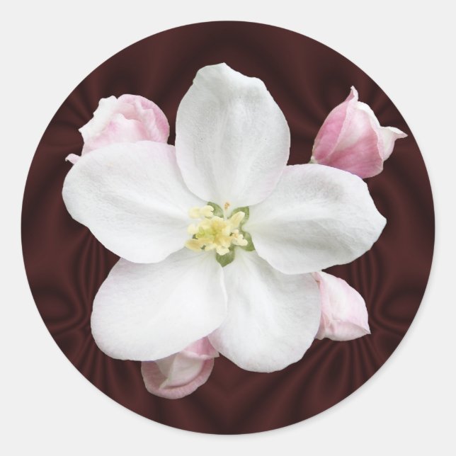 ÄppelBlommar ~ dekal Runt Klistermärke (Framsida)
