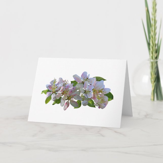 ÄppelBlommar Kort (Framsida)