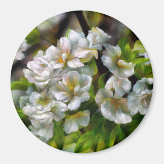 ÄppelBlommar Magnet