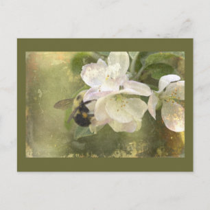 ÄppelBlommar och Bumblebee Vykort