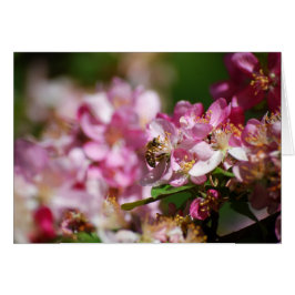 ÄppelBlommar och honungsbin Hälsningskort