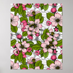 Äppelblommar på vitt poster