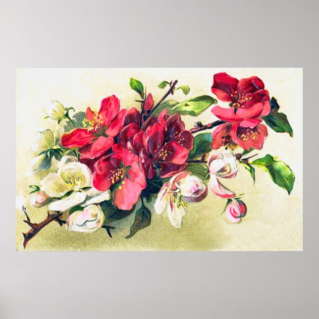 ÄppelBlommar Poster (Framsidan)