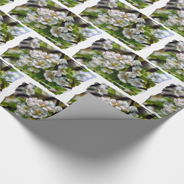 ÄppelBlommar Presentpapper (Hörn)