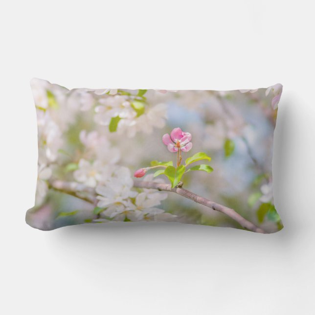 Äppelblommar - skönhet lumbarkudde (Framsida)