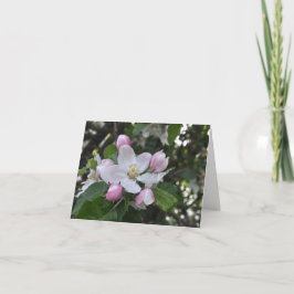 ÄppelBlommar, Tack Kort