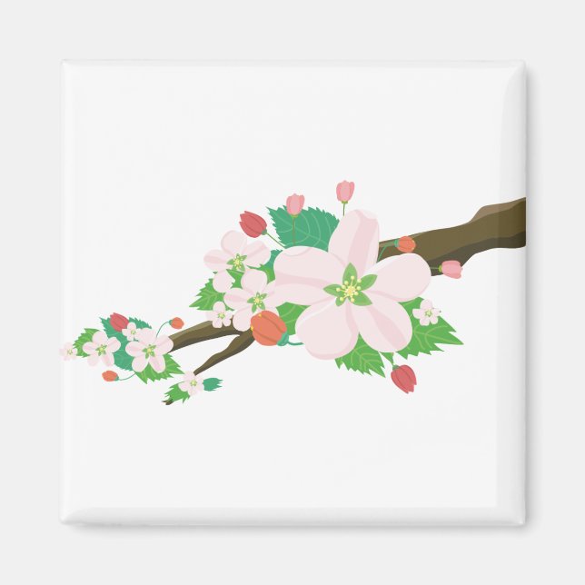 Äppelblommor, Blommar Träd Vår Magnet (Framsidan)