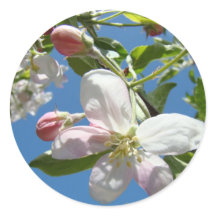 ÄPPELBLOMMOR DEKALER DEKALARK Blommor Gåvor