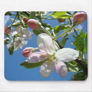 ÄPPELBLOMMOR MUSMATTOR Träd Blommor Musmatta